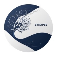 Synapse Bridge logo - Similar company to Kibur College