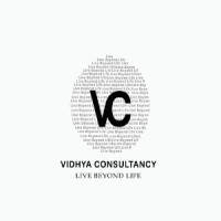 Vidhya Consultancy logo - Similar company to Seeneel Consultancy