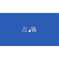 Blue wide World Company logo - Similar company to Pikyhost Ltd