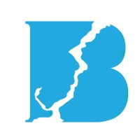 Bosphore International Transit logo - Similar company to Korepaka