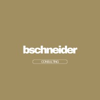 BSchneider Consulting logo - Similar company to Colosseo Design