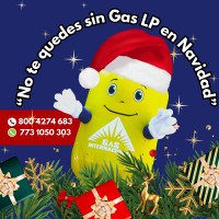 Gas Internacional logo - Similar company to Azteca Gas