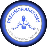 Precision Anatomy logo - Similar company to Upstate Warrior Solution