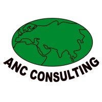 ANC Consulting Ltd logo - Similar company to Anc Consulting Llc