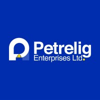 Petrelig Enterprises Ltd logo - Similar company to Megaweb Digital Solution