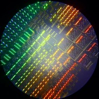 Integrated Photonics - Prof. Pernice's Lab logo - Similar company to Integrated Photonics And Applications Centre