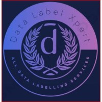 DataLabelXpert logo - Similar company to Keymakr Data Labeling