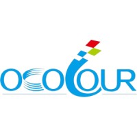 Ocolour - 3ST logo - Similar company to Shenzhen Esvison Technology Co., Ltd