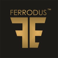 Ferrodus Ltd. - Stealth Startup logo - Similar company to Mipes