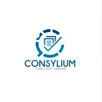 CONSYLIUM logo - Similar company to Alwaysdata