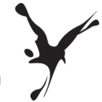 Raven Media Sp. z o.o. logo - Similar company to Pakersi