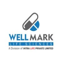 Wellmark Life Sciences logo - Similar company to Skill School Pharma Training Solutions
