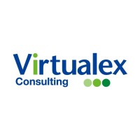 Virtualex Consulting, Inc. logo - Similar company to Tinker Tutor