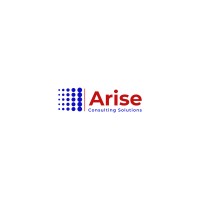 Arisecon Solutions Pvt Ltd logo - Similar company to Edanışman