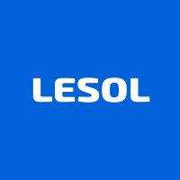 LeSol City Ltd logo - Similar company to Bag Electronics & Technology (India) Pvt.Ltd.