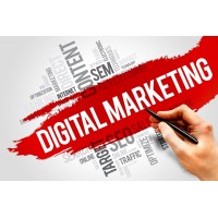 Digital Marketing Pune pvt ltd logo - Similar company to Pune Marketers