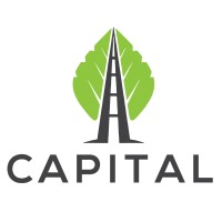 Capital Consulting Solutions logo - Similar company to E Plus Engineering And Construction, Llc
