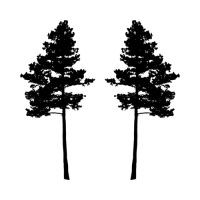 Two Pines Marketing Group Llc