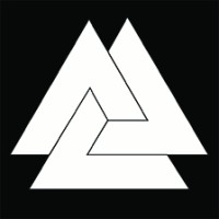 Animus Consulting Group logo - Similar company to Animus Group