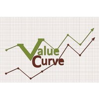 ValueCurve Financial Services logo - Similar company to Finitor Financial Services Private Limited