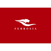 Ferrosia logo - Similar company to Stepping Forward Technology
