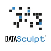 Datasculpt B.V. logo - Similar company to Biconet