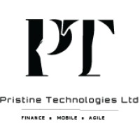 Pristine Technologies LTD logo - Similar company to Rg-Consult Inc
