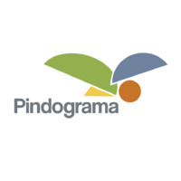 Pindograma logo - Similar company to Enactus Usp Cidade Universitária