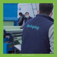Springday logo - Similar company to Alindair Global