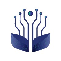 Ravsh Digital logo - Similar company to Search Tactics Llc