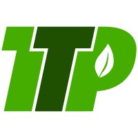 Tree Trimming Professionals