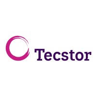 Tecstor logo - Similar company to Enterpia Concepts