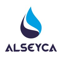 ALSEYCA logo - Similar company to V4Guard / As215764