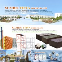 Jiangsu Landisi Wood Co., Ltd. logo - Similar company to Camelply - Linyi Camel Plywood Co., Ltd