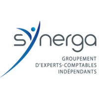 SYNERGA groupement d'Experts-Comptables indépendants logo - Similar company to Force D'Experts