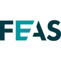 FEAS logo - Similar company to Finium