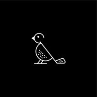 Birdies For Life Foundation logo - Similar company to Red Tree Builders-Alair Asheville