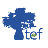 Tanzania Education Fund Inc logo - Similar company to Accelerate Coaching