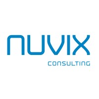 Nuvix Consulting logo - Similar company to Dinosaur Inversiones Sociedad De Valores, S.A