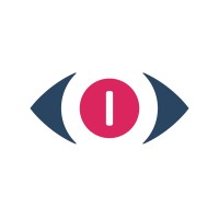 Binary Vision logo - Similar company to Binary Vision