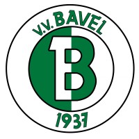 V.V. Bavel