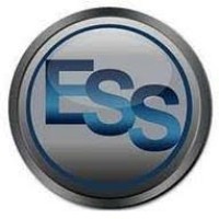 Elite Staffing Solutions Wichita logo - Similar company to Paravel Creative