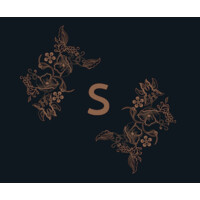 Samanvaya Luxury Resort and Spa logo - Similar company to Vesica Property Developments