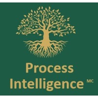 Process Intelligence MC logo - Similar company to Theblueway
