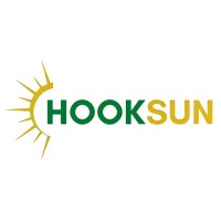 Hooksun India logo - Similar company to The Nextgen World