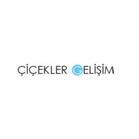 Çiçekler Gelişim Gıda San. ve Tic. Ltd. Şti. logo - Similar company to Çiçekler Group