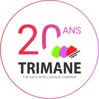 TRIMANE | Expert BI et Big Data logo - Similar company to Capital B