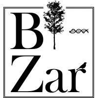 Bi-Zar