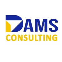 DAMS Consulting logo - Similar company to Dams