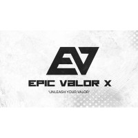 Epic Valor X logo - Similar company to Startnow